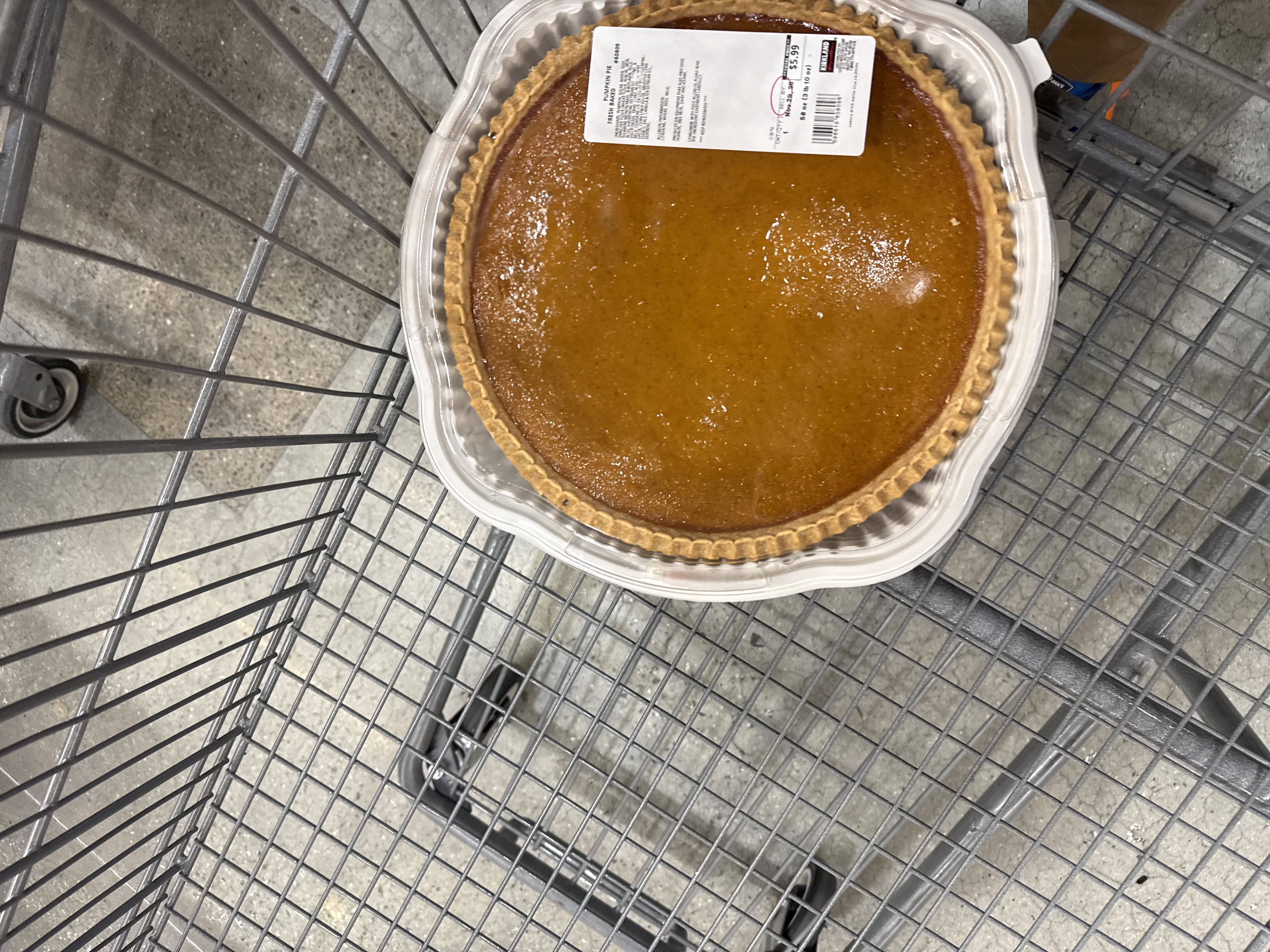 Pumpkin Pie Picture